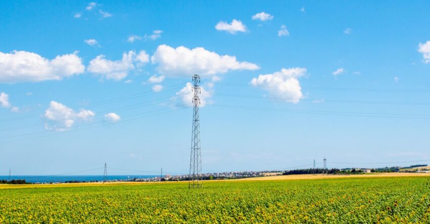 From Fields to Sensors: How Low‑Power Wide‑Area Networks Are Revolutionizing Smart Agriculture
